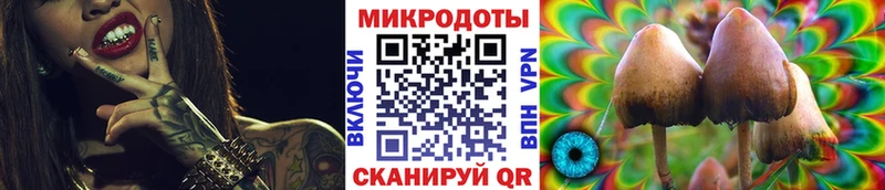 OMG ССЫЛКА  Грайворон  Псилоцибиновые грибы Psilocybe 